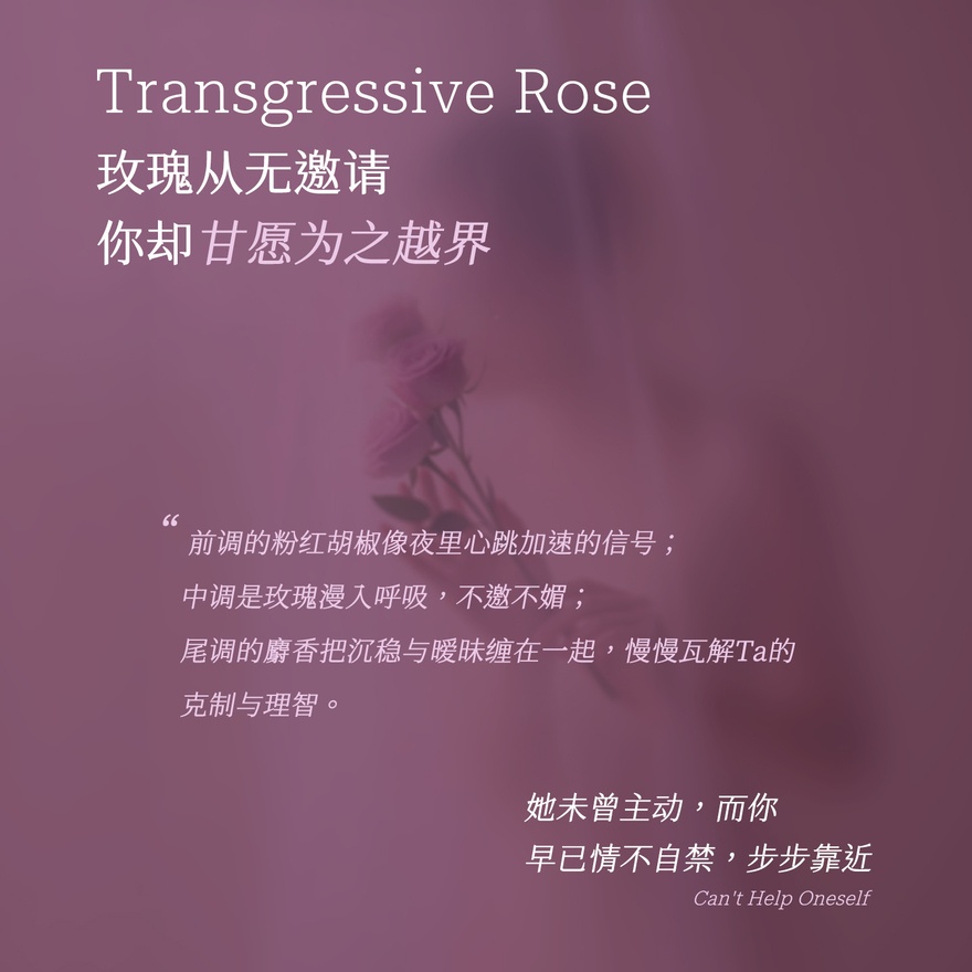[ FLORA ALICE ] Tipsy Fragrance Shower Gel (Transgressive Rose) 380ml