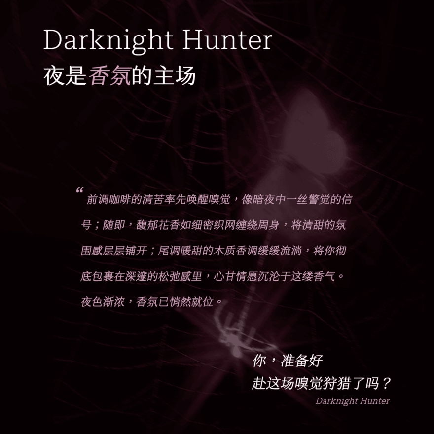 [ FLORA ALICE ] Tipsy Fragrance Shower Gel (Night Hunter Scent) 380ml