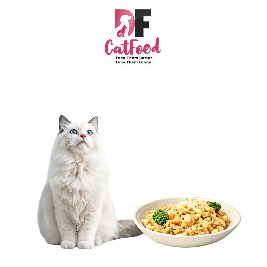 Chicken, Egg with Carrot Wet Cat Food - 1pack