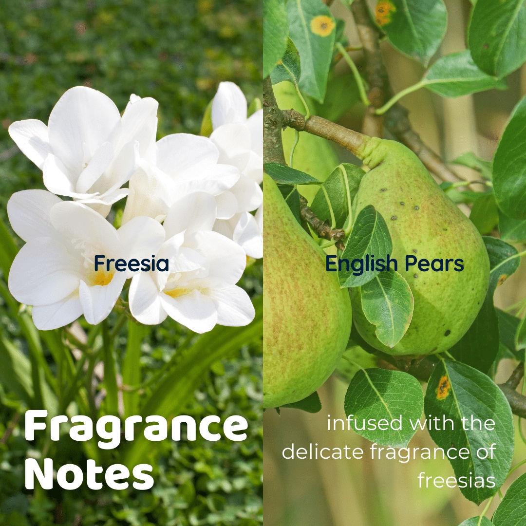 Single-Chamber Pods - Fresh Freesia (30s)