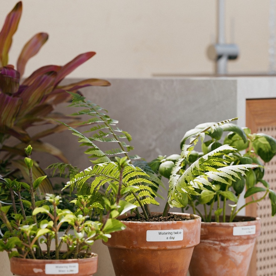 NIIMBOT WHITE STICKER 12*40MM