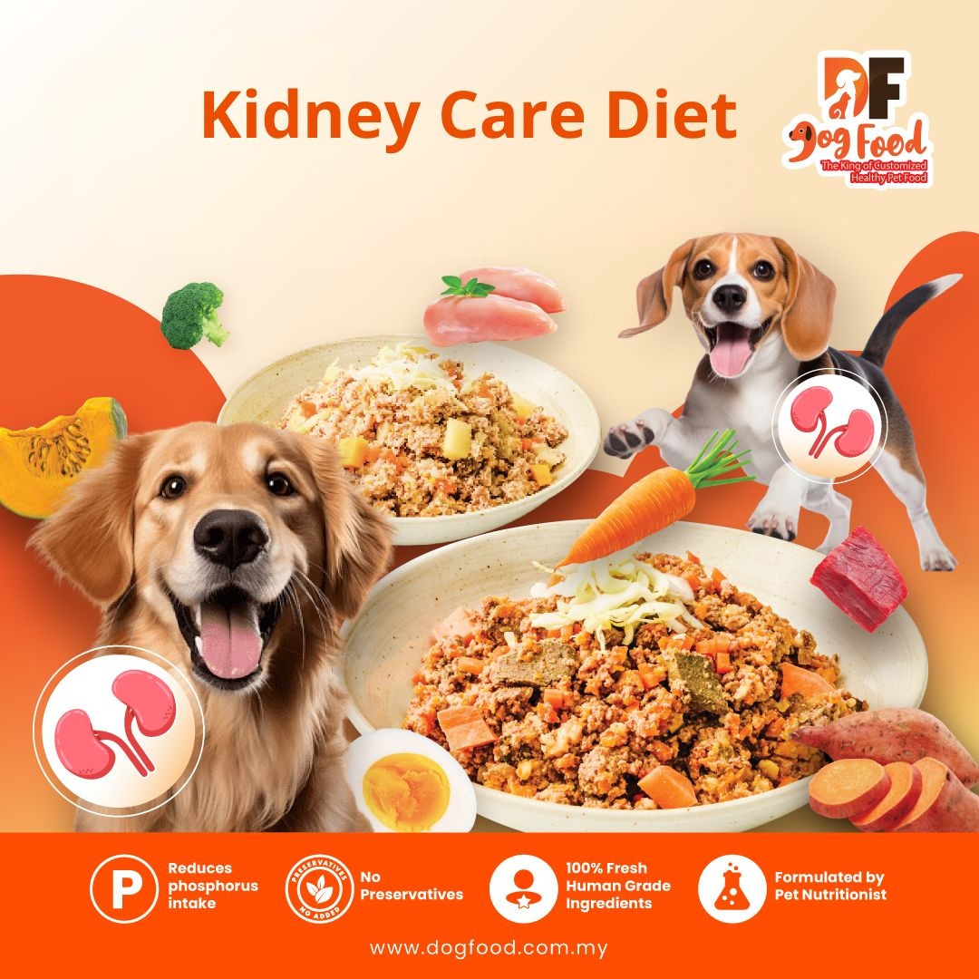 Kidney Diet - Beef 1 pack