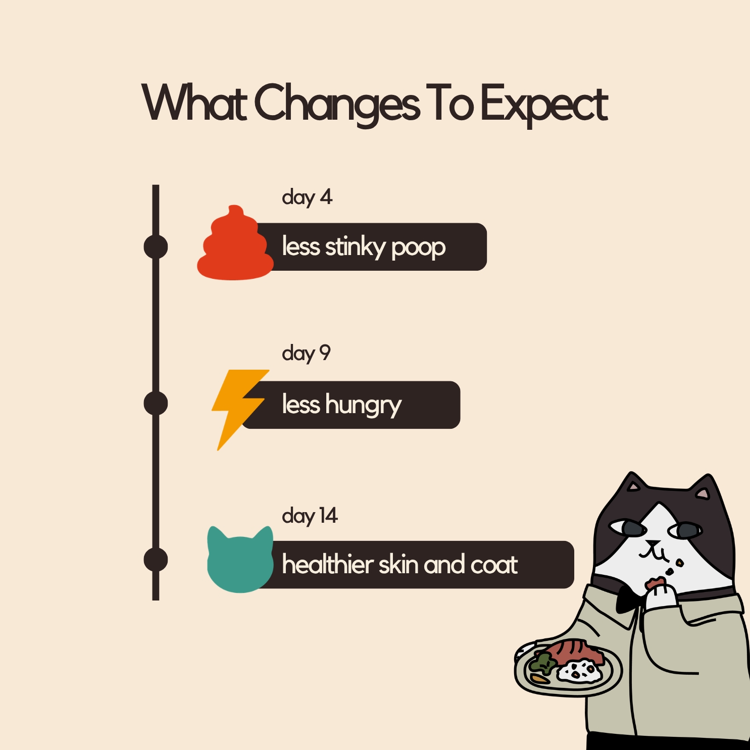 Salt-Free Wet Food Salmon All Life Stages 85g