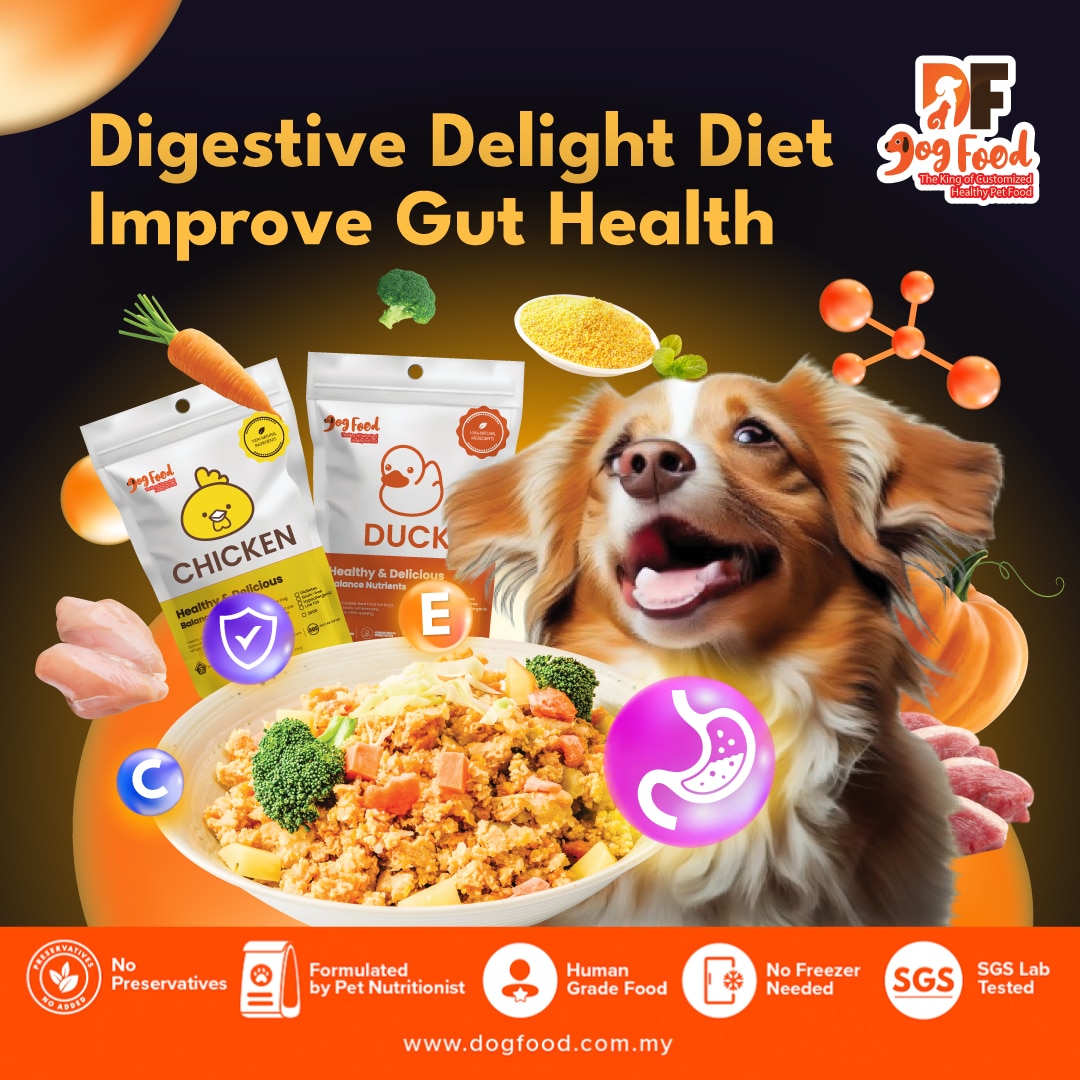 Digestive Diet - Chicken 1 pack