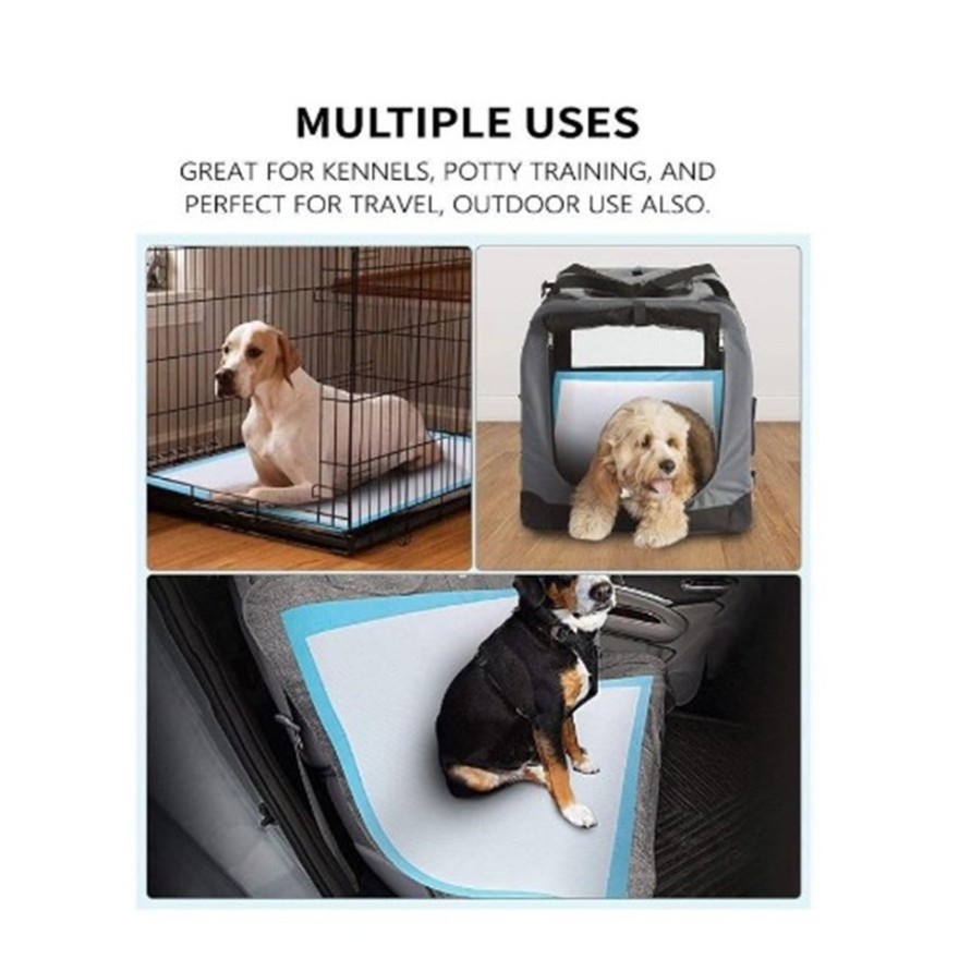 Pet Diaper Size L Training Pet Urine Pad Dog Cat ( 40pcs ) image