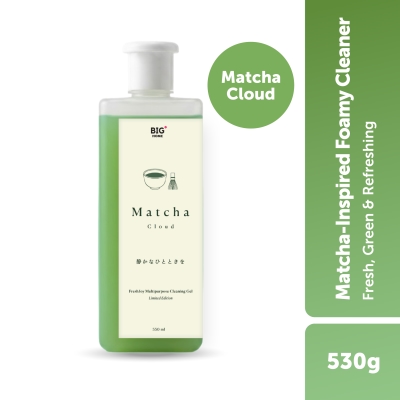 BIG+ - FreshJoy Matcha Multi-Purpose Cleaning Gel (530g) - Matcha Cloud image