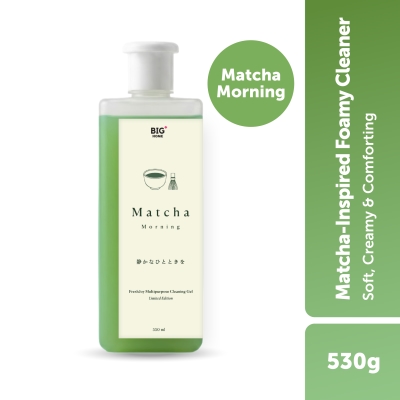BIG+ - FreshJoy Matcha Multi-Purpose Cleaning Gel (530g) - Matcha Morning image