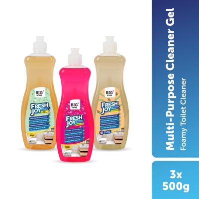 BIG+ - FreshJoy Multi-Purpose Cleaning Gel (500g) Foamy Toilet Cleaner - Collection image