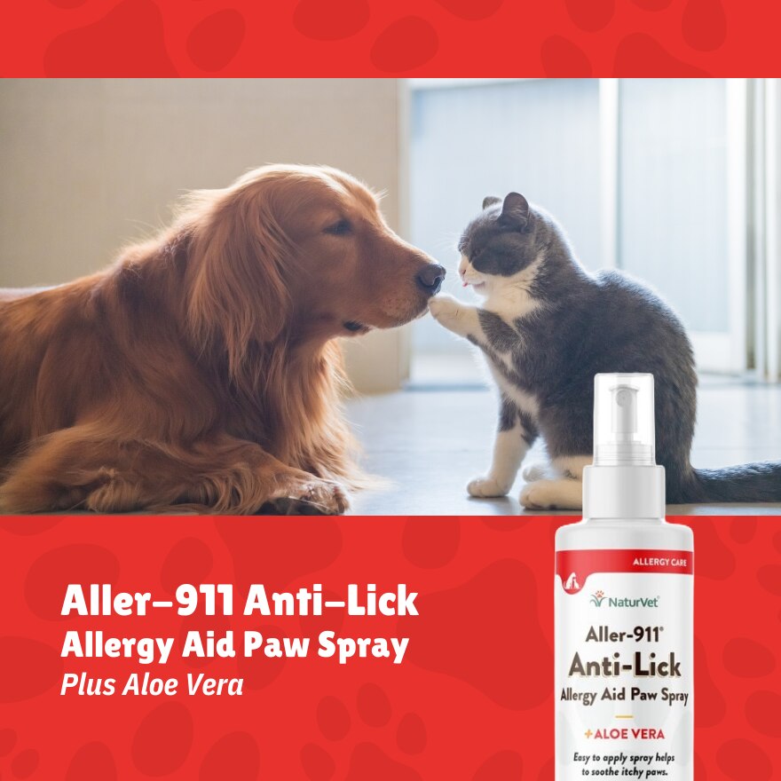 Aller 911 Anti-Lick Paw Spray