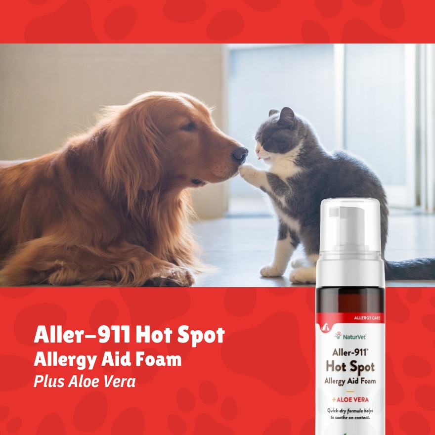 Aller 911 Hot Spot Foam
