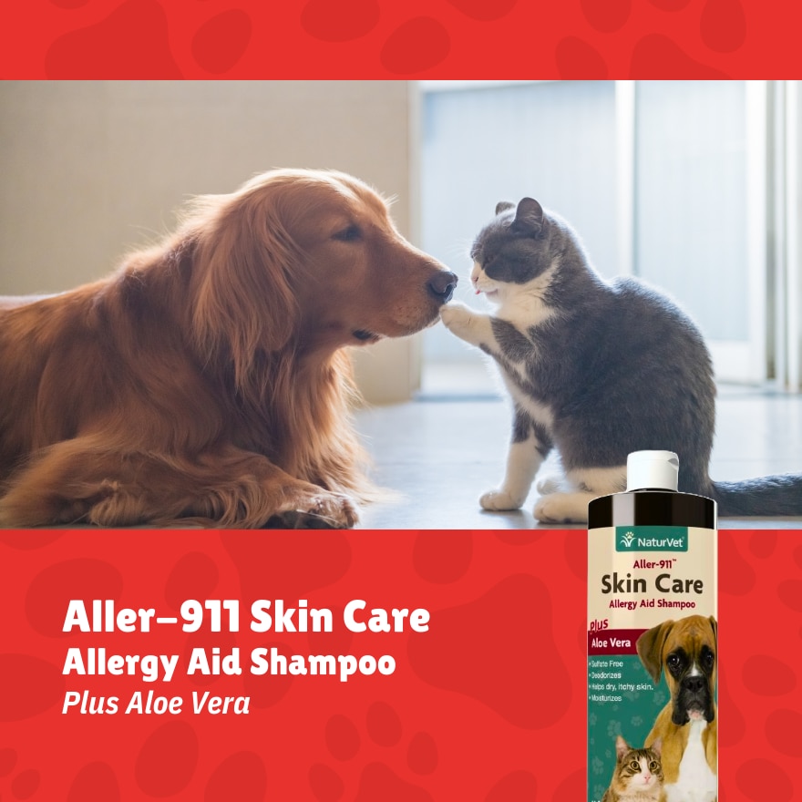 Aller 911 Skin Care Shampoo