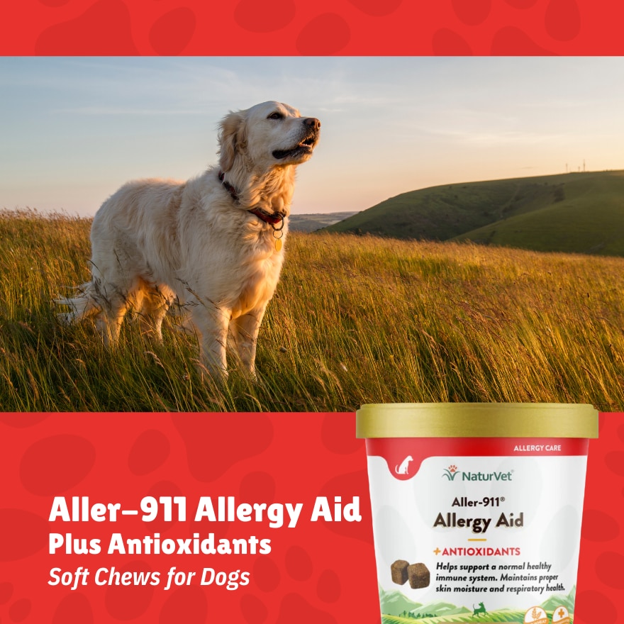 Aller 911 Allergy Aid Soft Chews 70s
