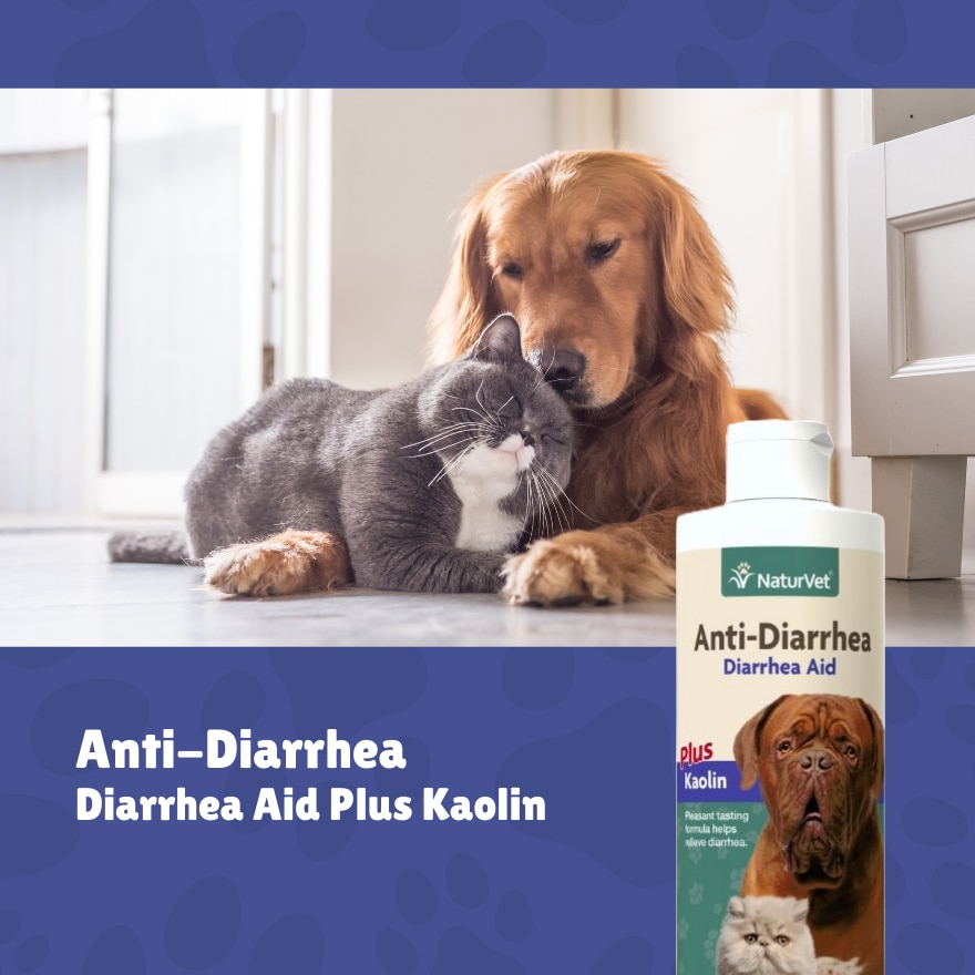 Anti Diarrhea Liquid