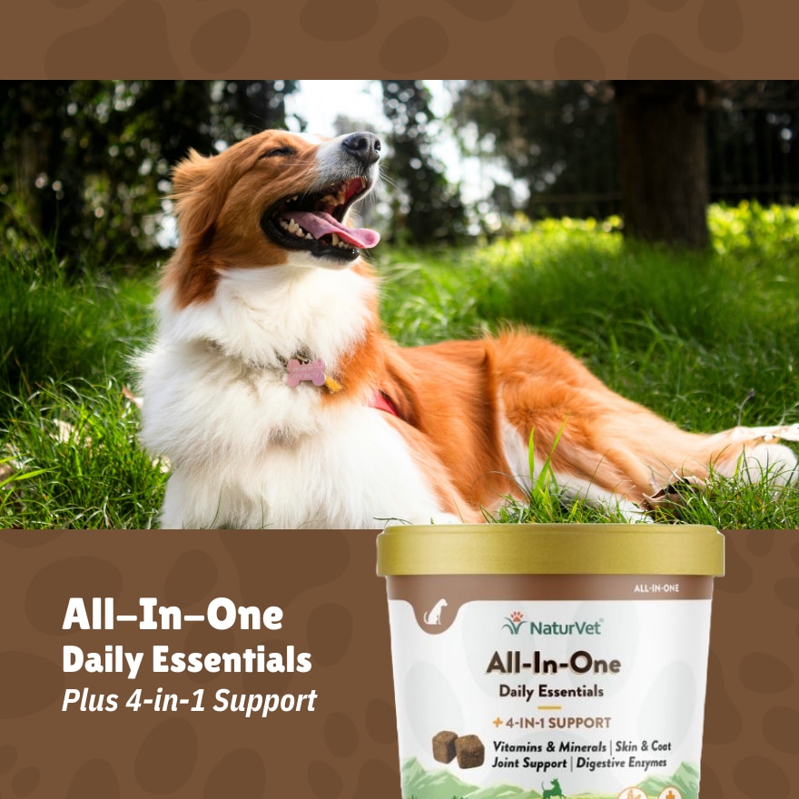 All In One Soft Chews 60s