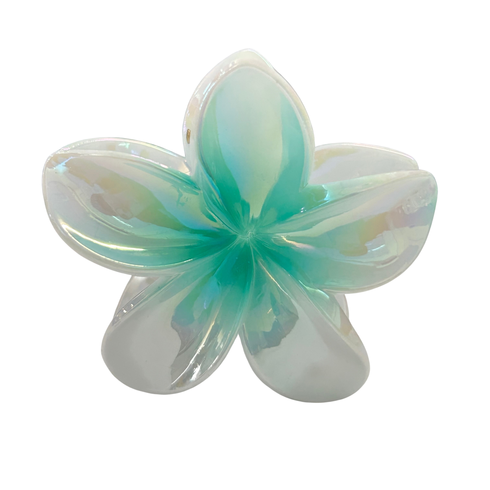AJC-0321-MINT%20GREEN%20%283%29-goNmhnJB-zoom