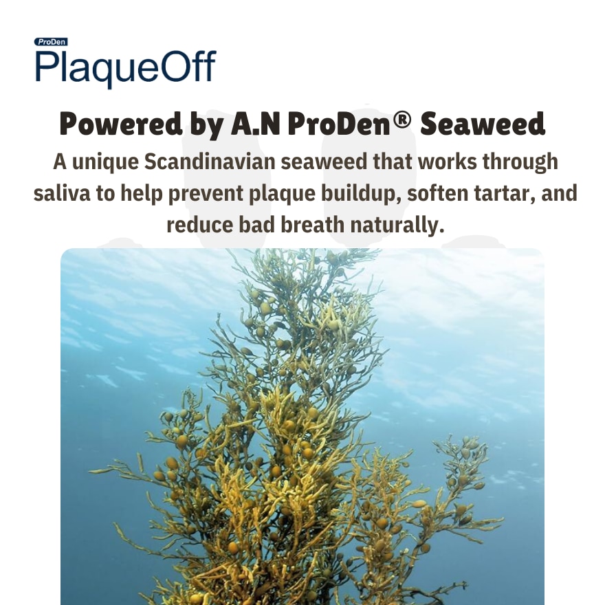 Proden PlaqueOff Powder for Dogs 40g