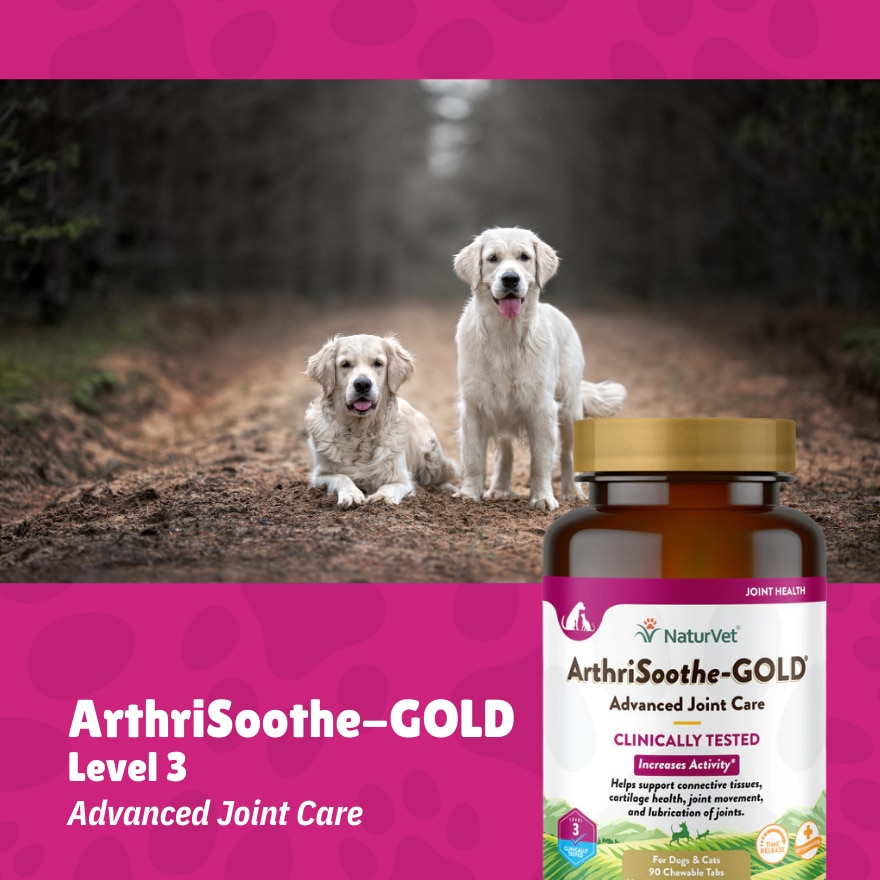 Arthrisoothe Gold Advanced Joint Care Chewable Tablets 90s