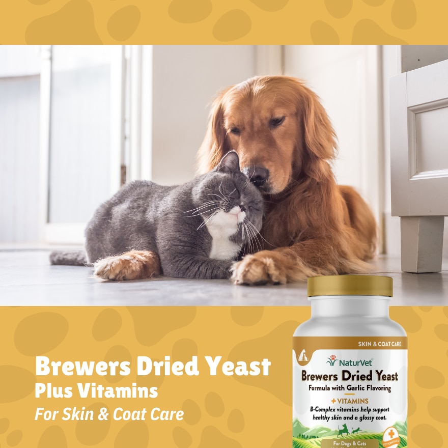 Brewers Dried Yeast With Garlic Chewable Tablets 100s