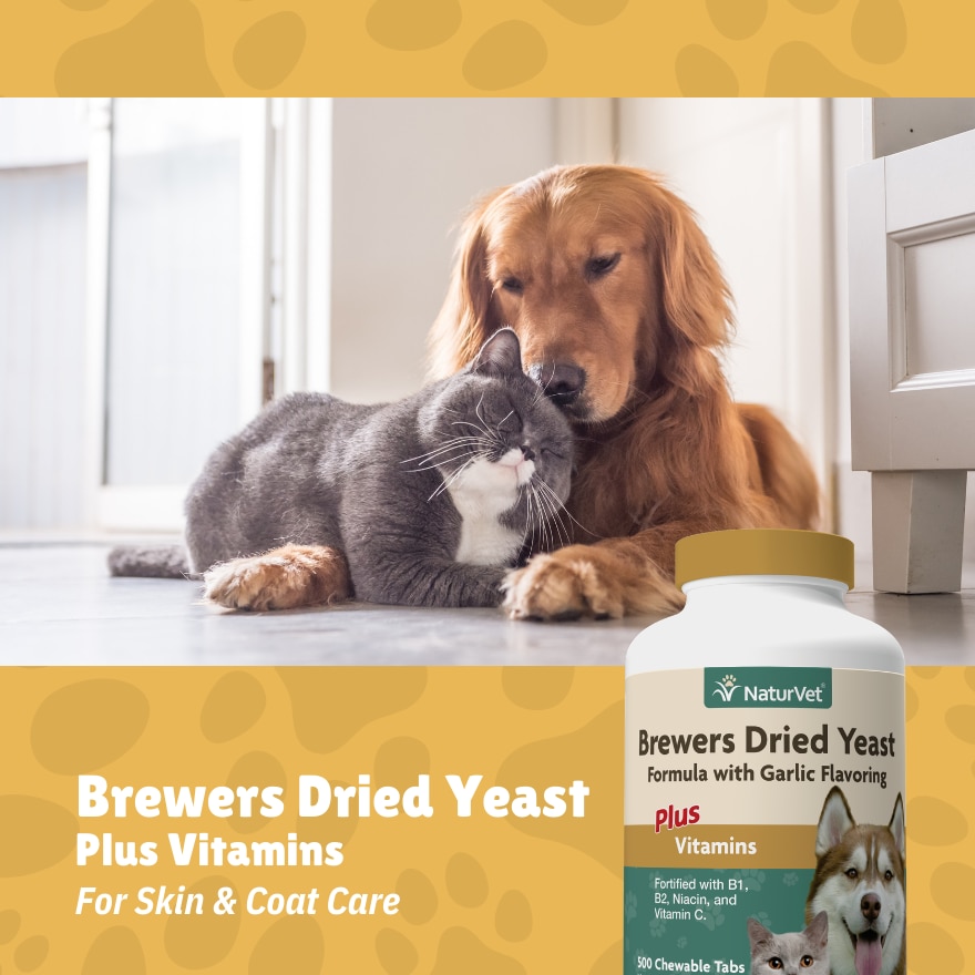 Brewers Dried Yeast With Garlic Chewable Tablets 500s