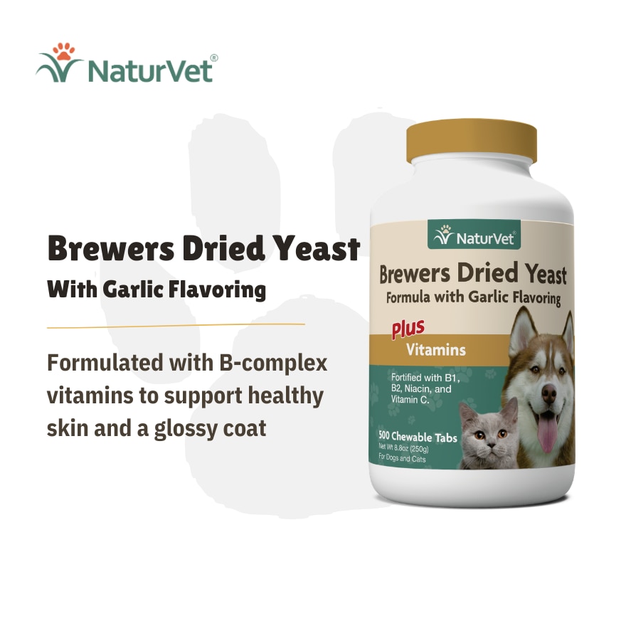 Brewers Dried Yeast With Garlic Chewable Tablets 500s