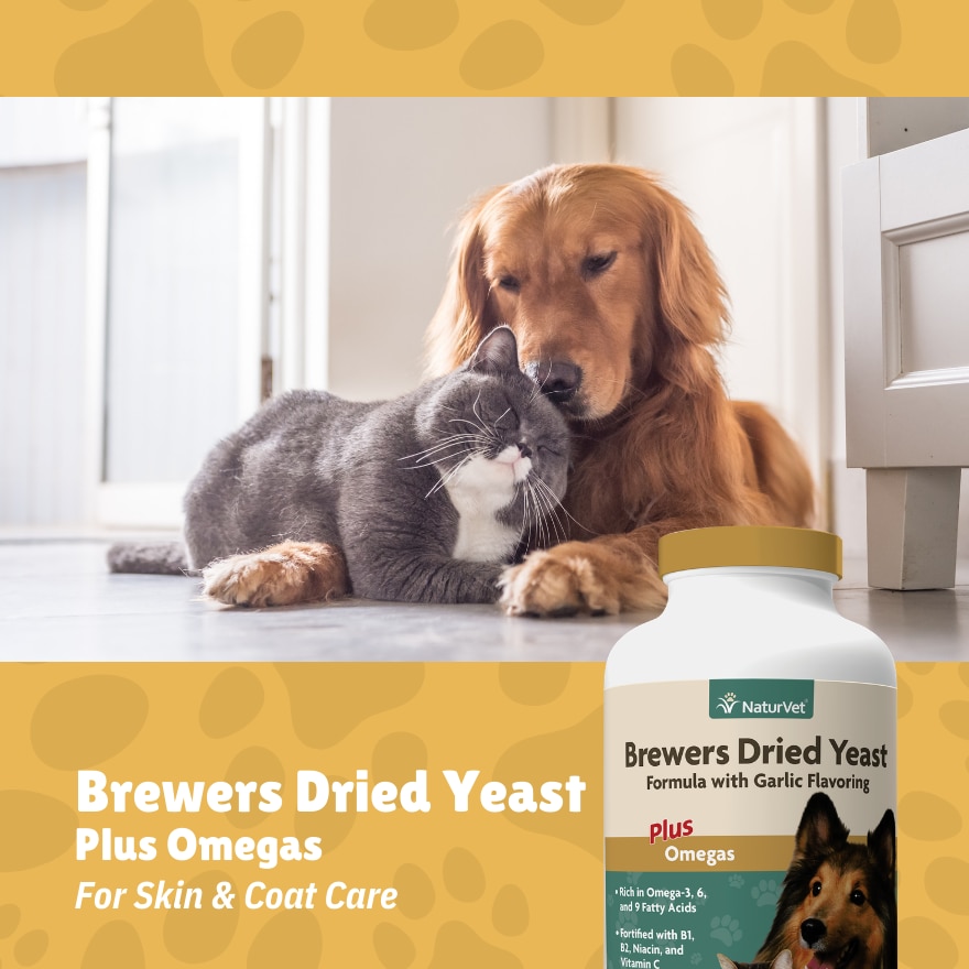 Brewers Dried Yeast Formula With Garlic Flavoring Chewable Tablets Plus Omega 1000s