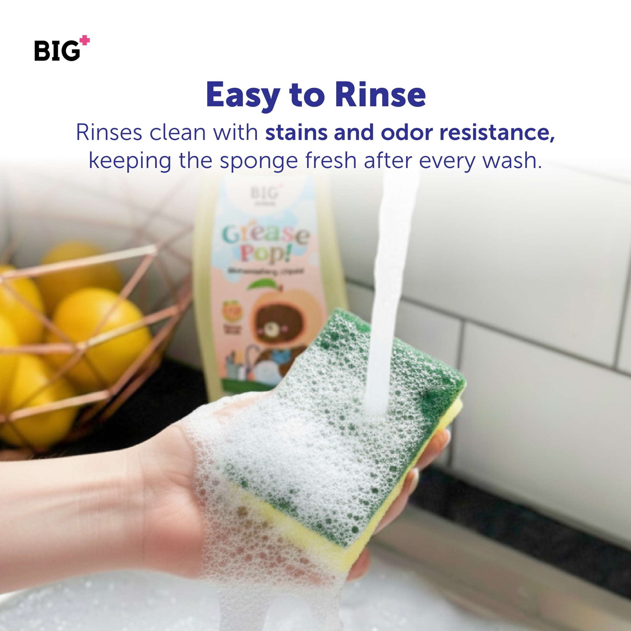 DuraScrub Dishwashing Sponge with Anti-Bacterial Protection