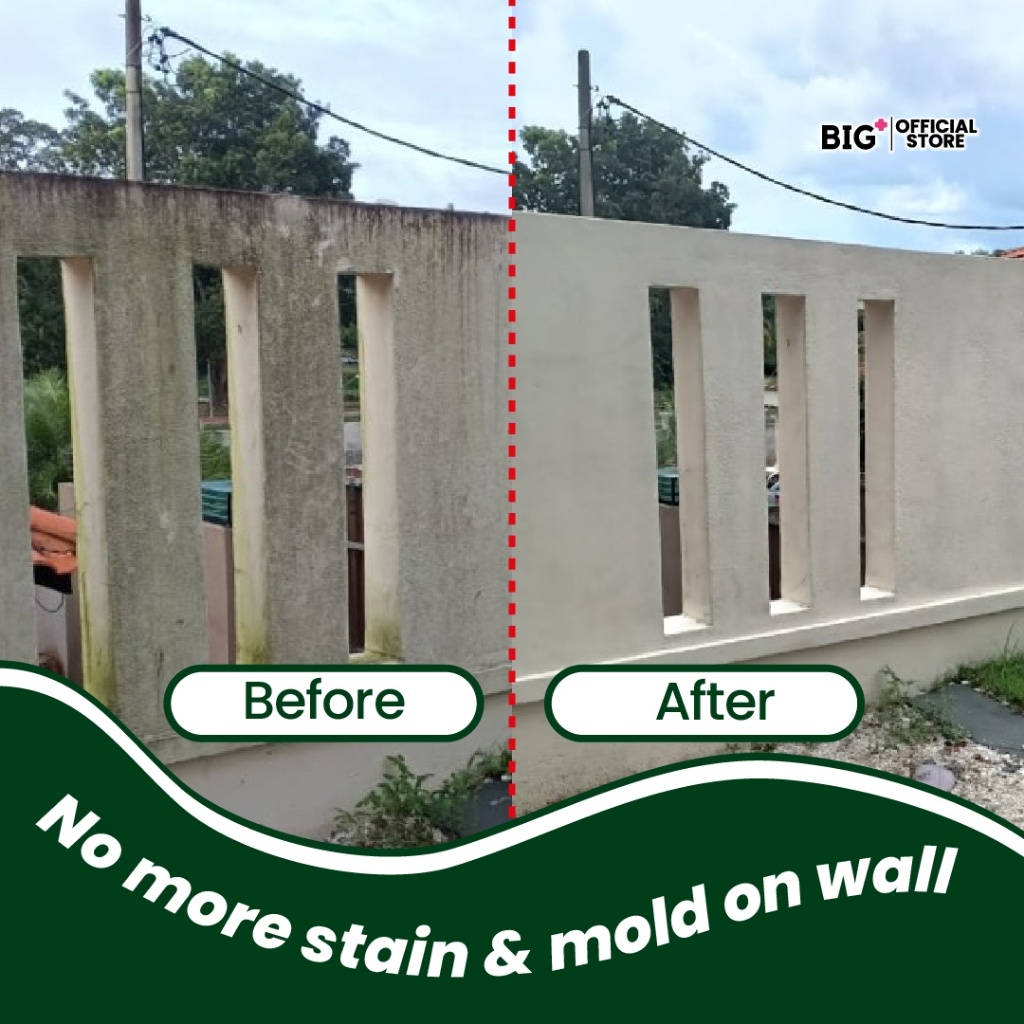 BIG+ Stain & Mold Remover (500ml)