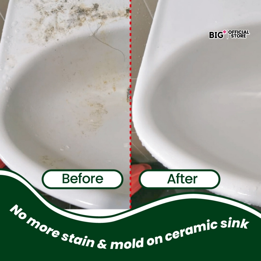 BIG+ Stain & Mold Remover (500ml)