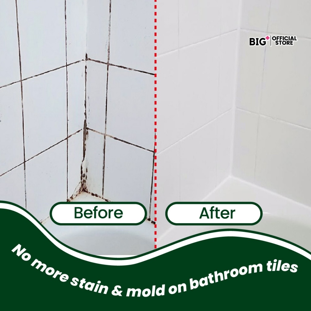 BIG+ Stain & Mold Remover (500ml)