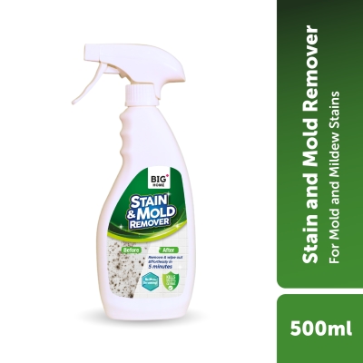 BIG+- - BIG+ Stain & Mold Remover (500ml)