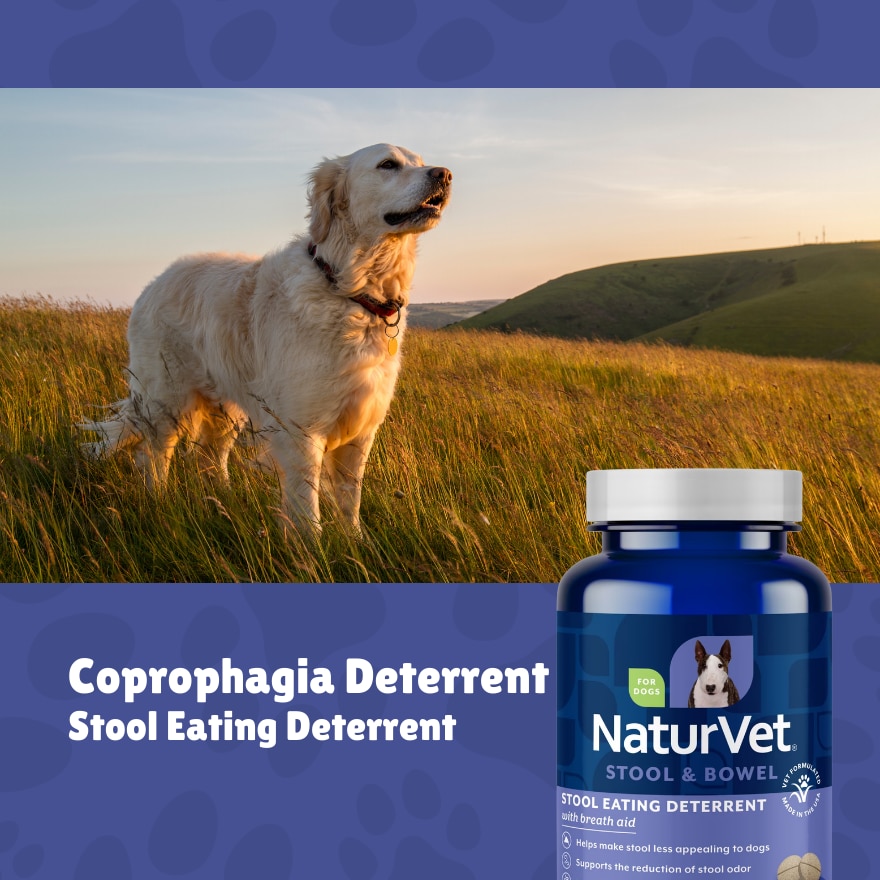 Coprophagia Stool Eating Deterrent Chewable Tablets 60s