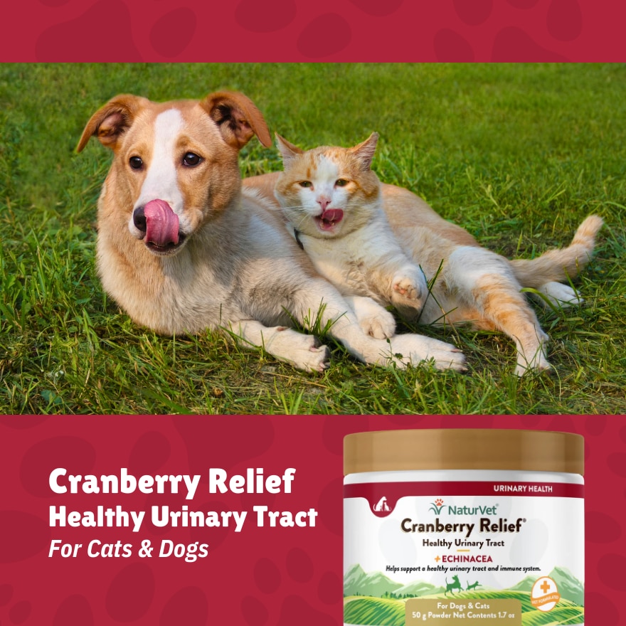 Cranberry Relief Powder 50G