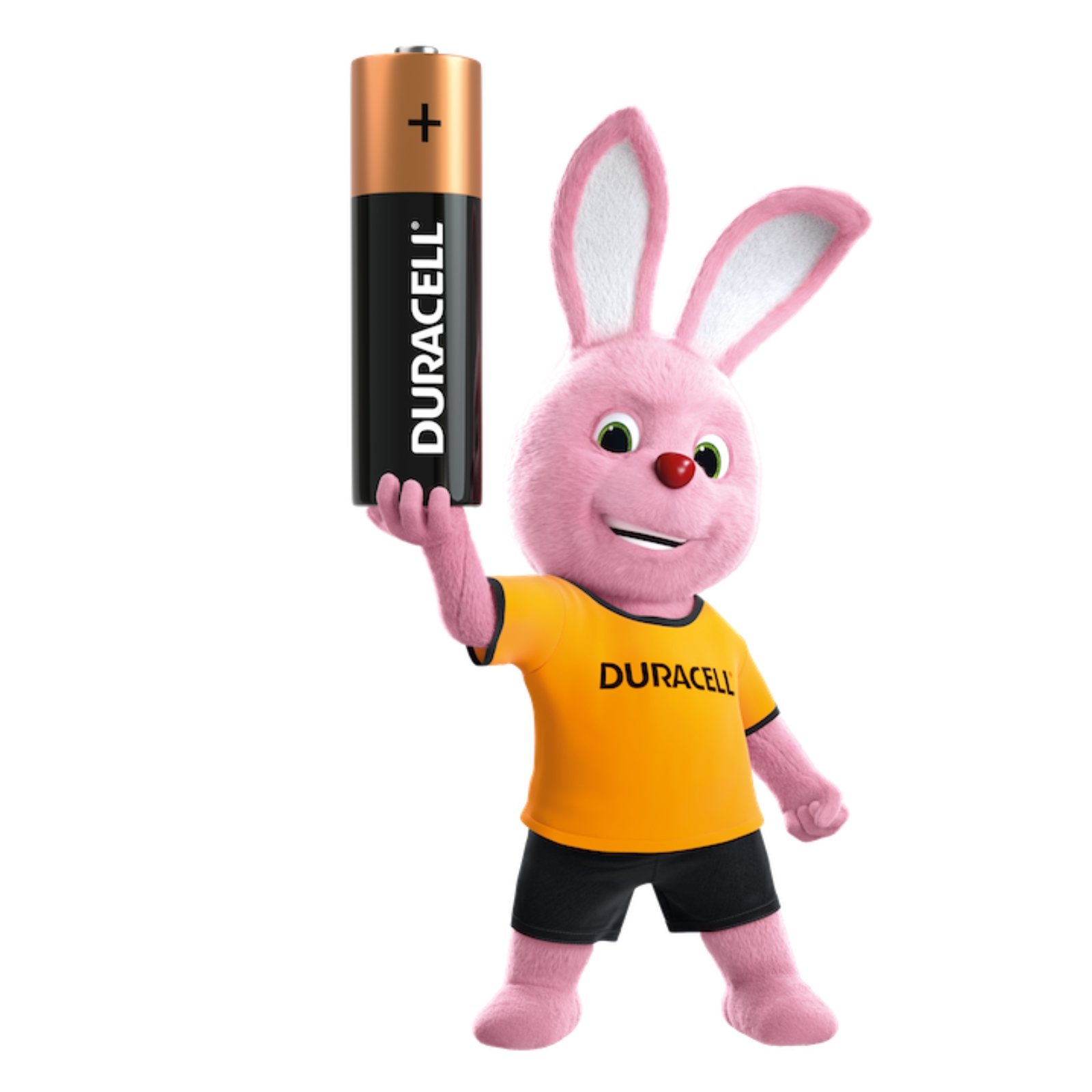 Duracell Alkaline AA Battery AA4