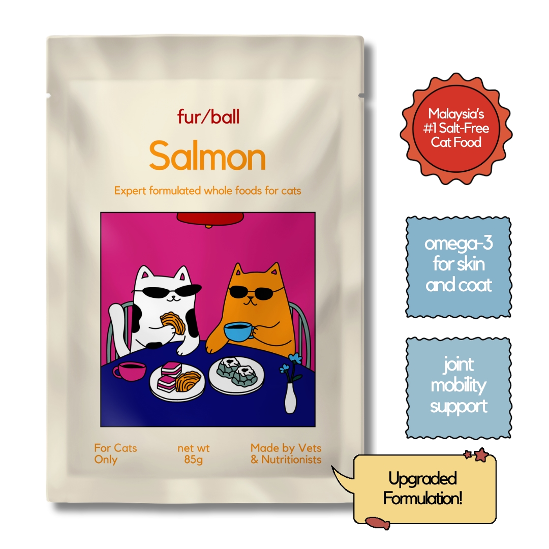Salt Free Wet Food 12 Pack image