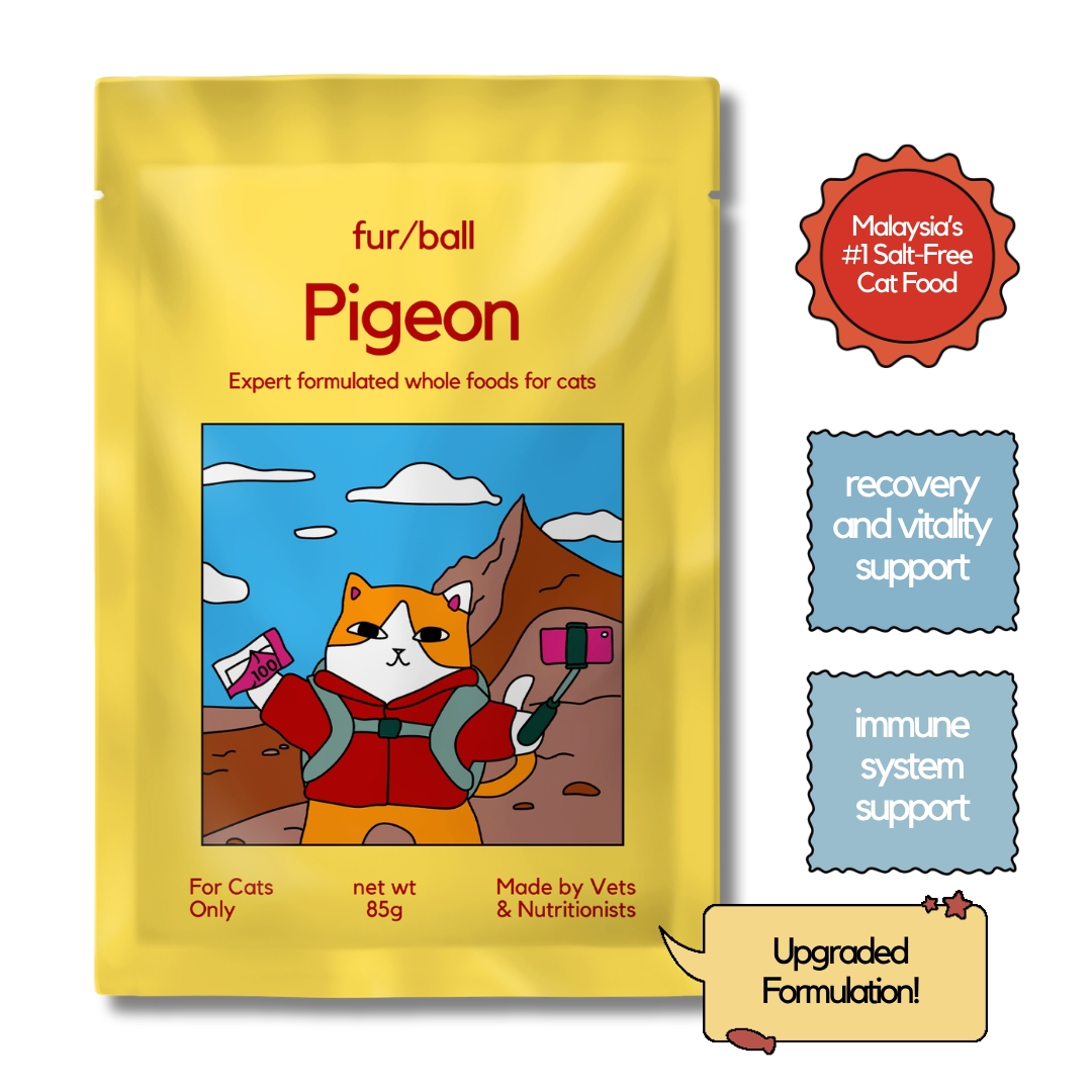 Salt Free Wet Food 12 Pack image