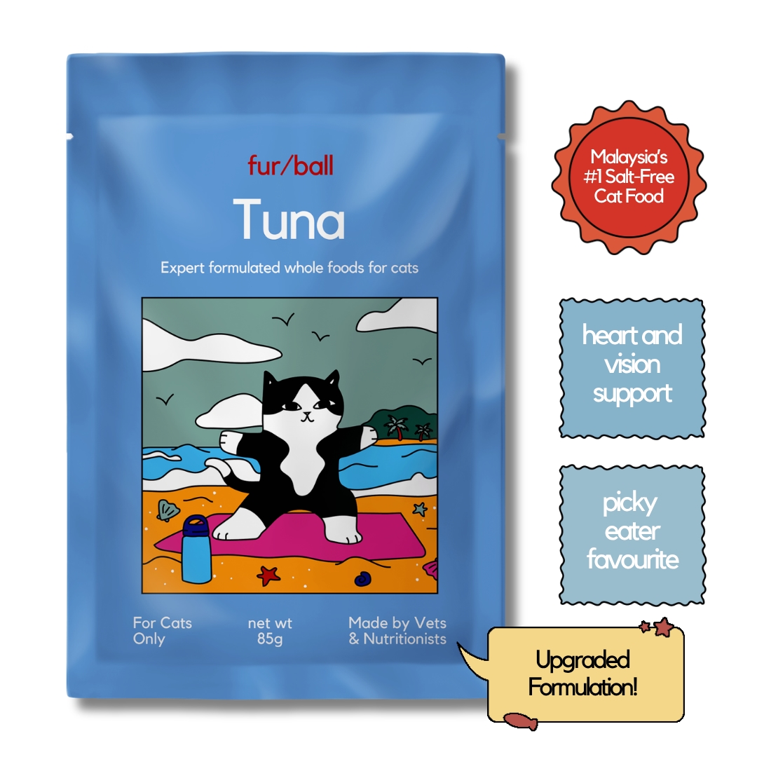 Salt Free Wet Food 12 Pack image