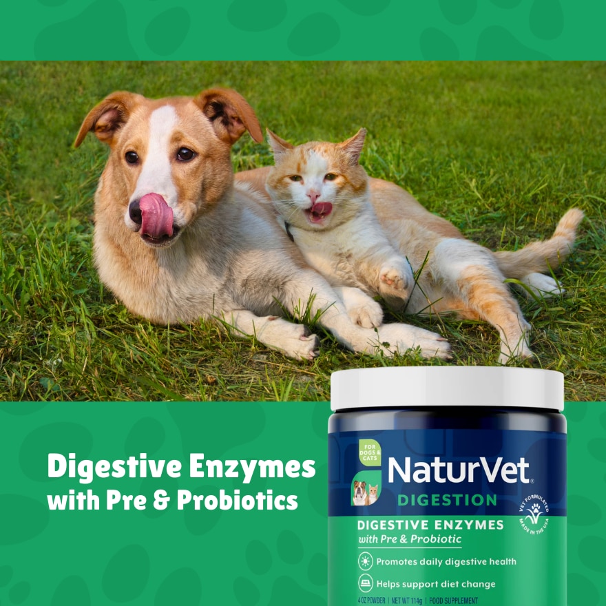 Digestive Enzymes Powder With Prebiotics and Probiotics 4Oz