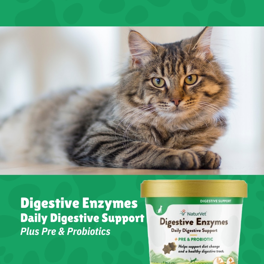Digestive Enzymes Cat Soft Chews With Prebiotic And Probiotic 60s