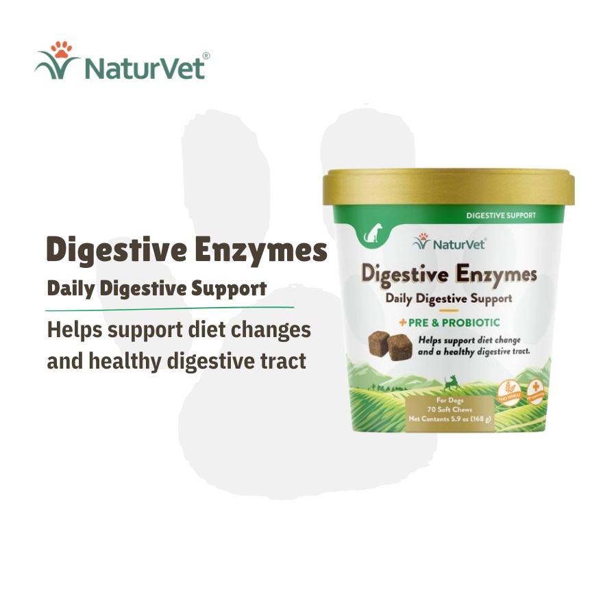 Digestive Enzymes Soft Chews With Prebiotics and Probiotics 70s
