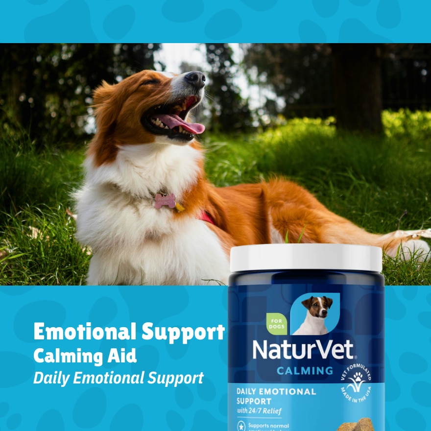 Emotional Support Dog Calming Aid 120s
