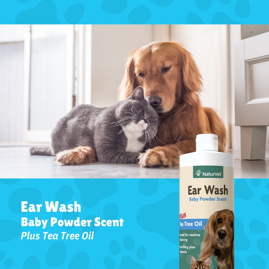 Ear Wash Liquid 16Oz