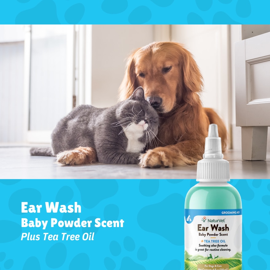 Ear Wash Liquid 4Oz