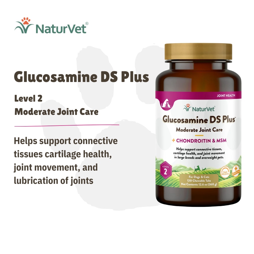 Glucosamine DS Plus Tabs 120s
