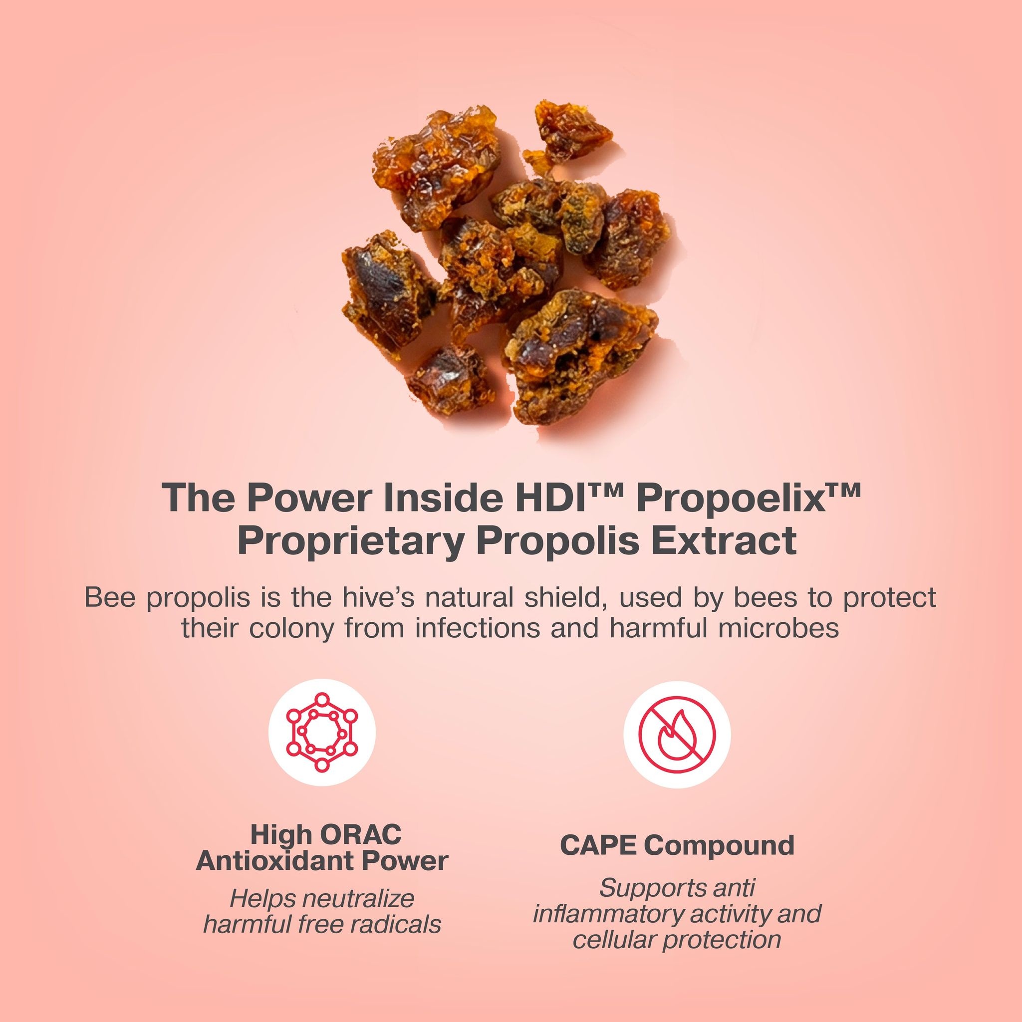 HDI™ Propoelix™ - Propolis Blend - Proven effective Dengue recovery - Immunity Boost - 60 Vegecaps