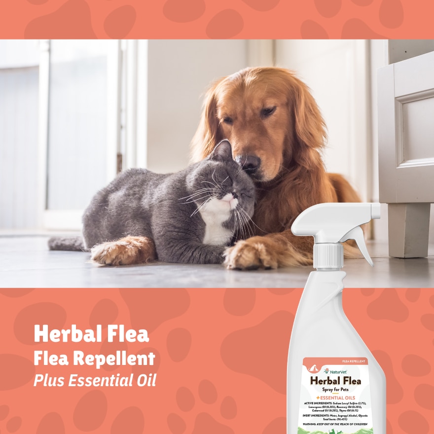 Herbal Flea Spray 16Oz