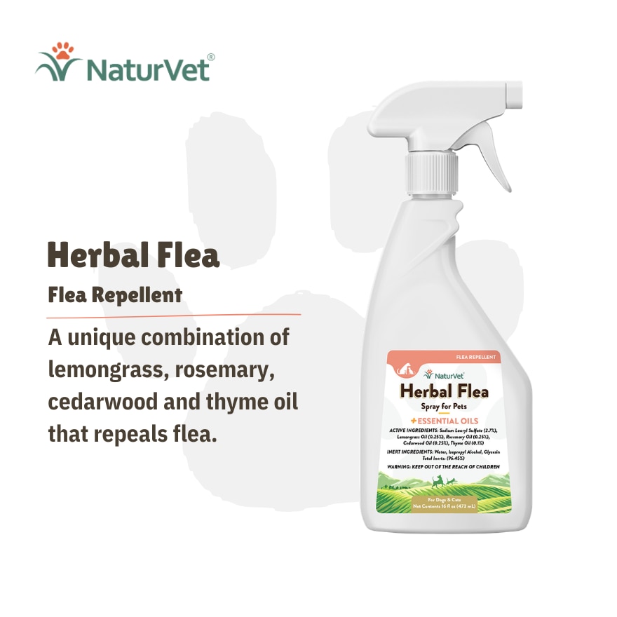 Herbal Flea Spray 16Oz