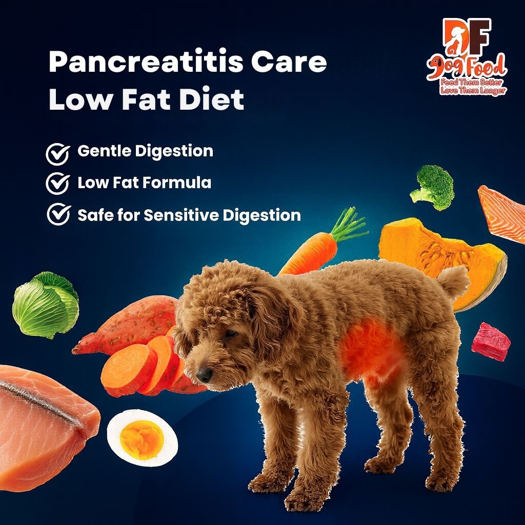 Low Fat Diet - Chicken 1 pack