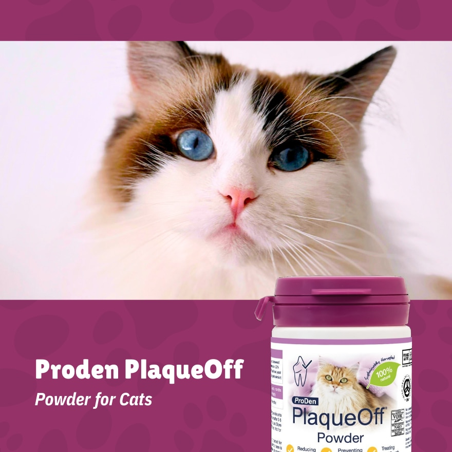 Proden PlaqueOff Powder for Cats 40g