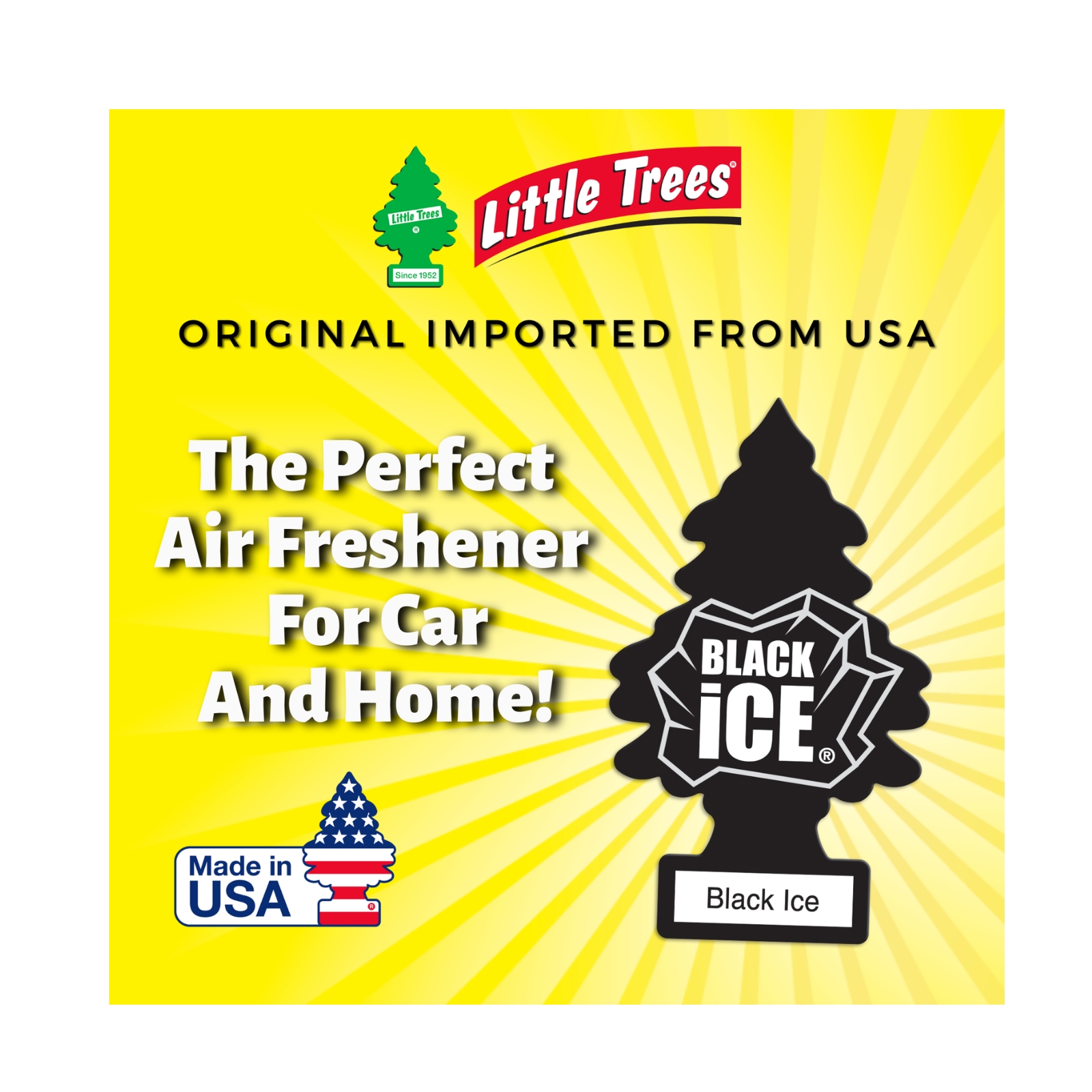 Little Trees Car Air Freshener Black Ice - Hanging Tree Provides Long Lasting Scent 1pc