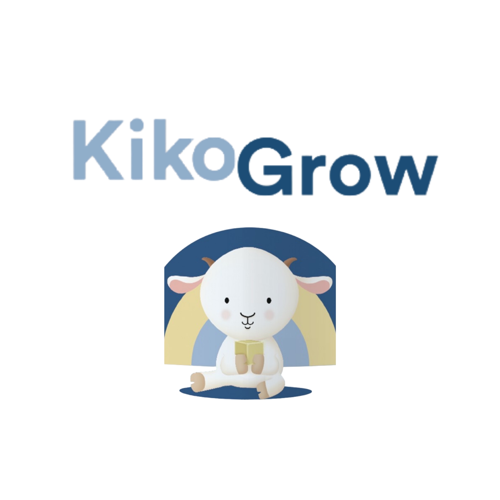 Kiko Baby Infant Formula Goat Milk 800g